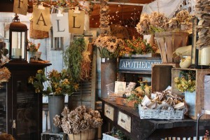 Fall window display